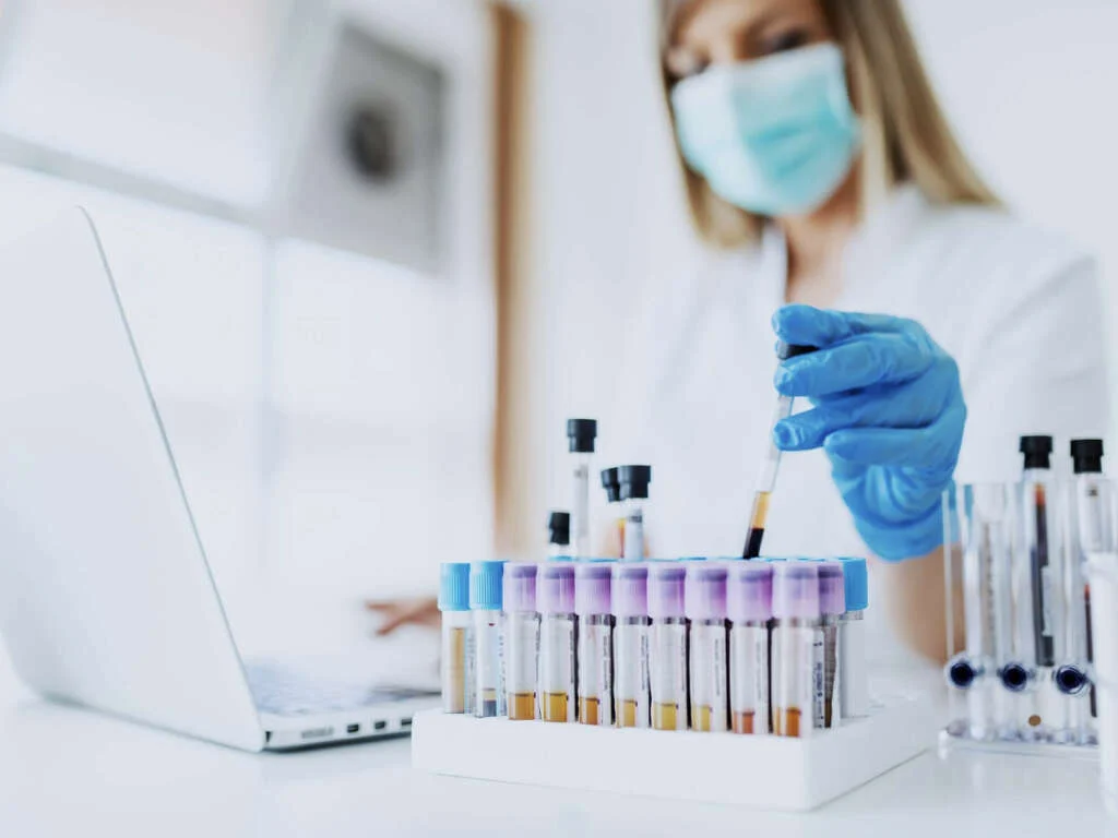 What Is Dengue Fever? What Is Dengue Fever?