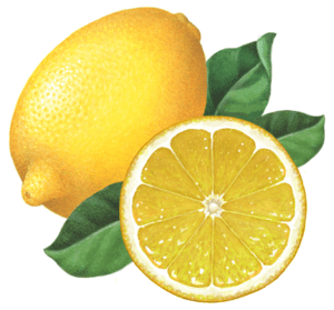 lemon