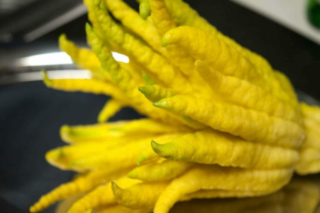 Amazingly Weird Yet Tasty Exotic Fruits No One Can Deny