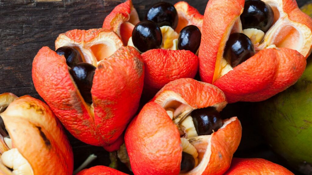 Amazingly Weird Yet Tasty Exotic Fruits No One Can Deny