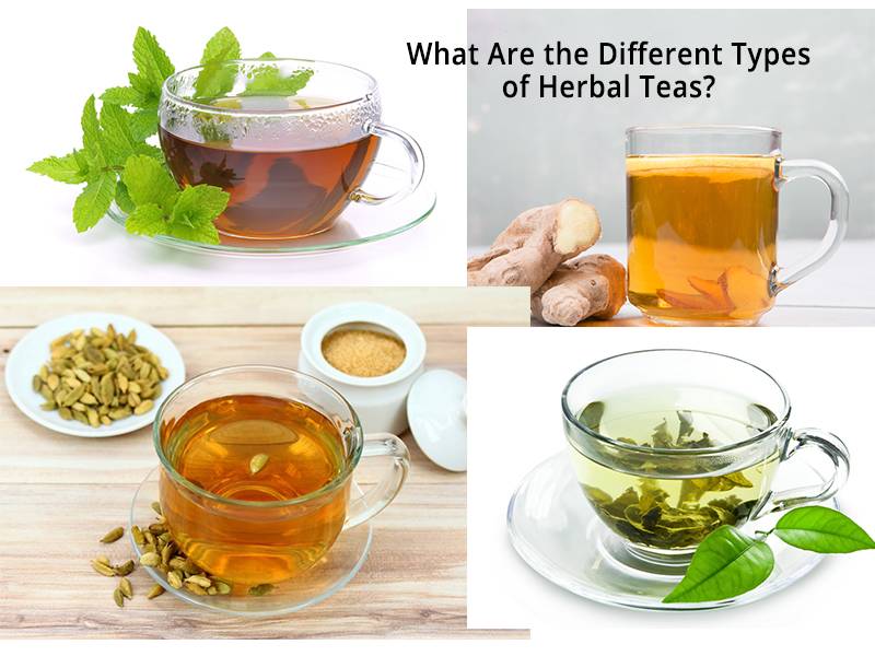 Best Indian Herbal Teas And Their Benefits
