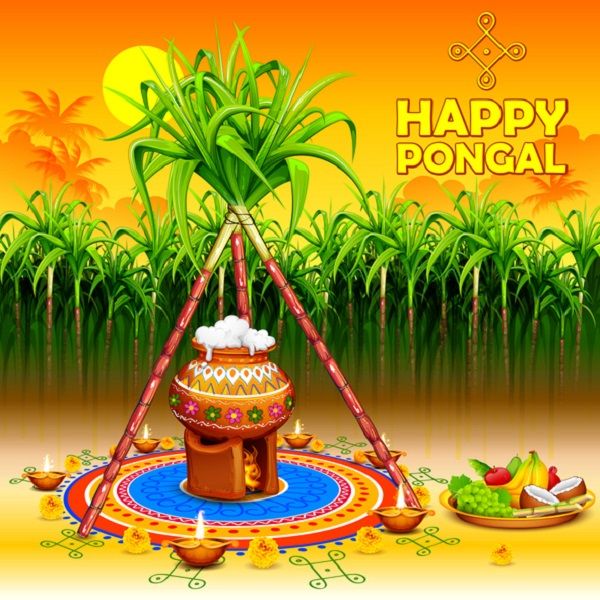 Happy Pongal 2021 wishes, quotes in Tamil, images, greetings and messages for loved ones