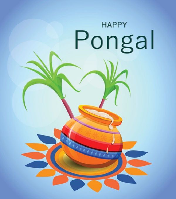 Happy Pongal 2021 wishes, quotes in Tamil, images, greetings and messages for loved ones