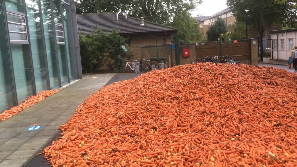 58,000 Pounds Of Carrots Dumped At A London University, Why?