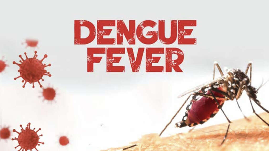 What Is Dengue Fever?
